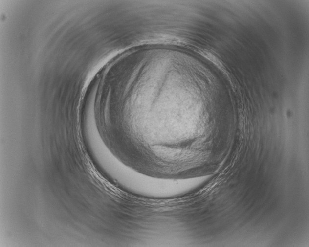 X0000053011120200507291701