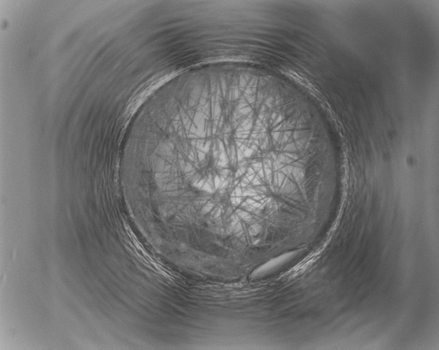 X0000053011121200507291701