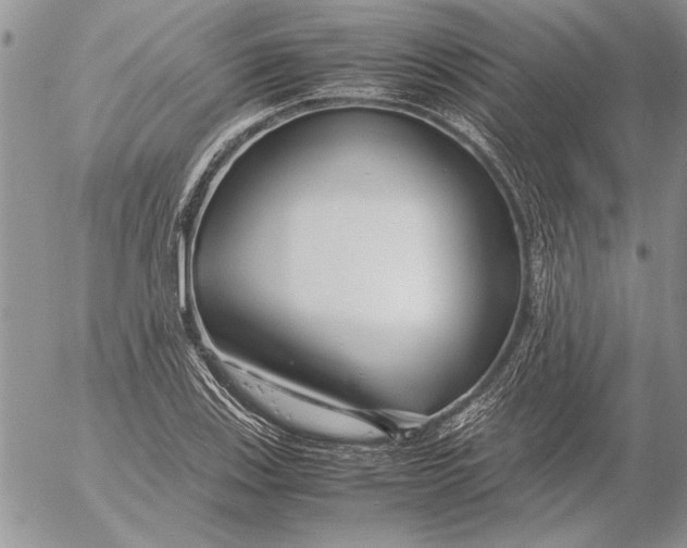 X0000053011123200507291701