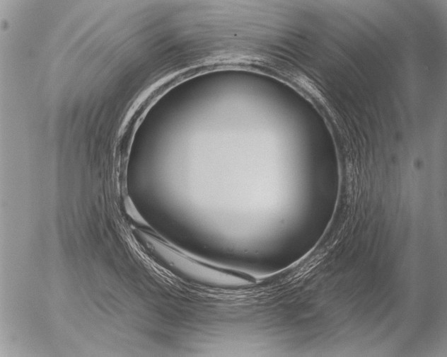 X0000053011124200507291701