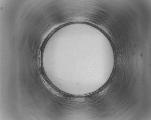 X0000053011126200507291701