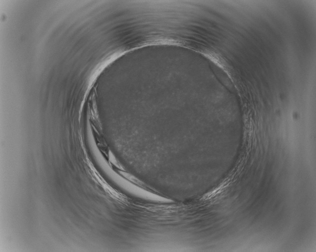 X0000053011127200507291701