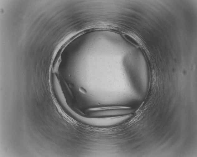 X0000053011128200507291701