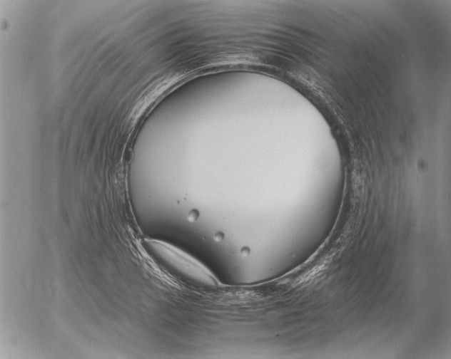 X0000053011129200507291701