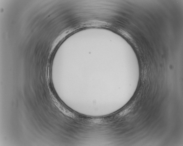 X0000053011130200507291701