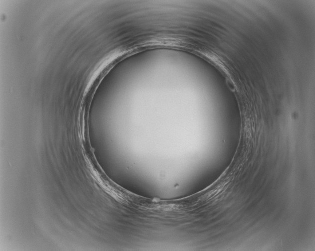 X0000053011131200507291701