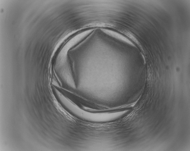 X0000053011132200507291701