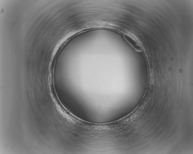 X0000053011136200507291701