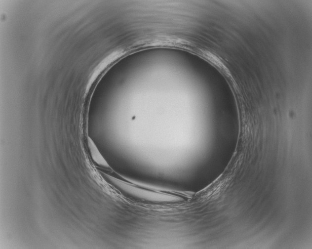 X0000053011138200507291701