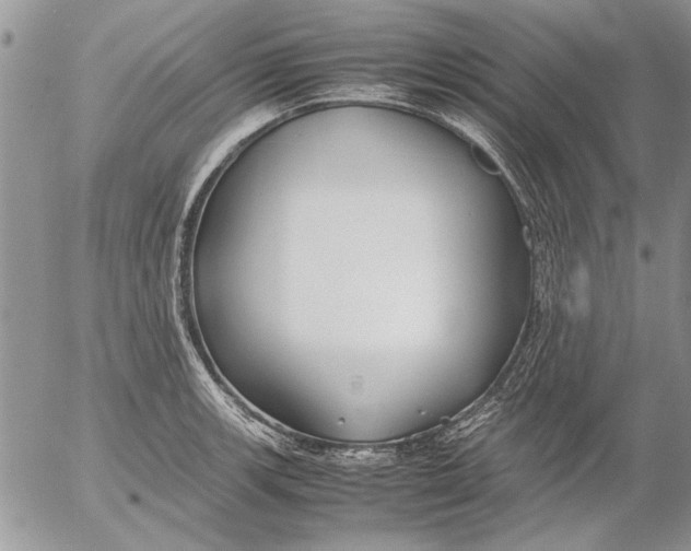 X0000053011139200507291701