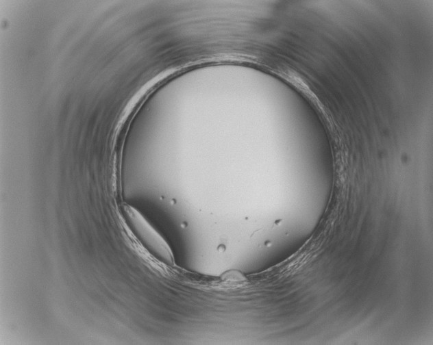 X0000053011140200507291701