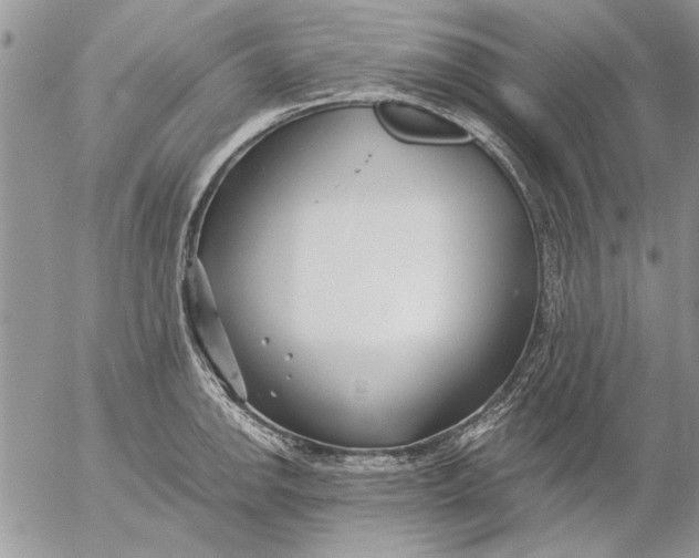 X0000053011142200507291701