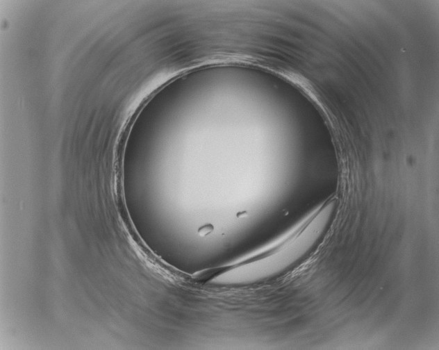 X0000053011143200507291701