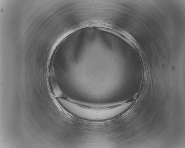 X0000053011144200507291701