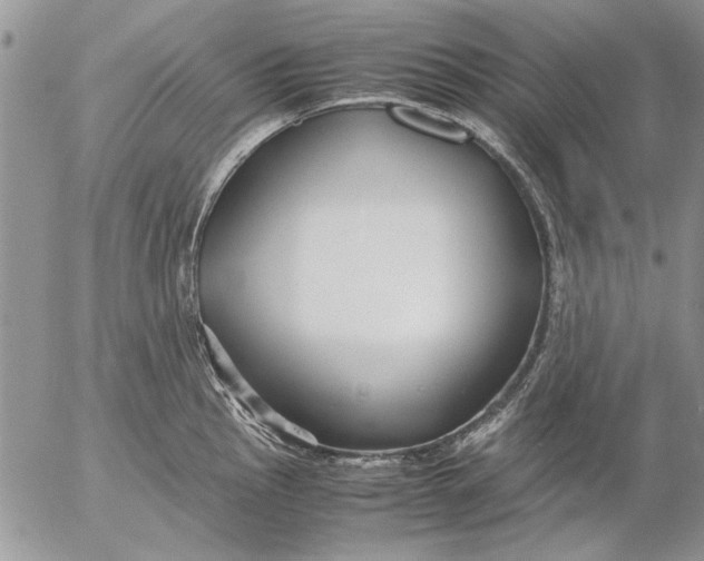 X0000053011145200507291701