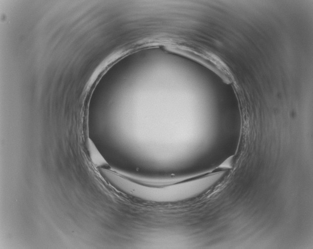 X0000053011146200507291701