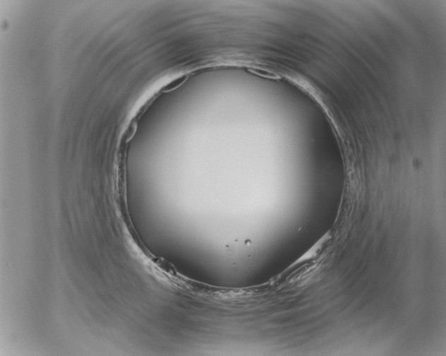 X0000053011147200507291701