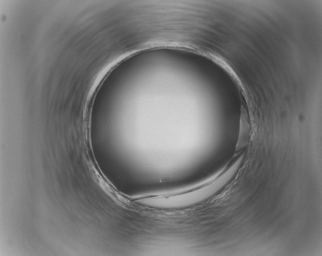 X0000053011148200507291701