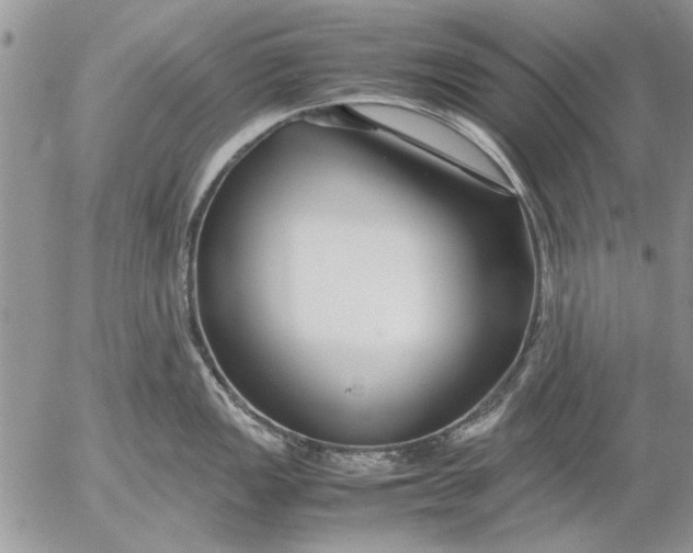 X0000053011149200507291701