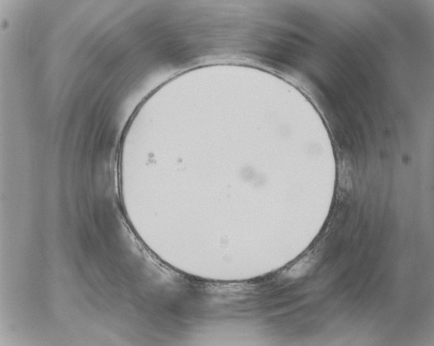 X0000053011150200507291701