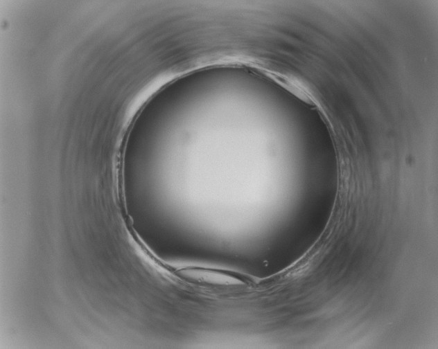 X0000053011151200507291701