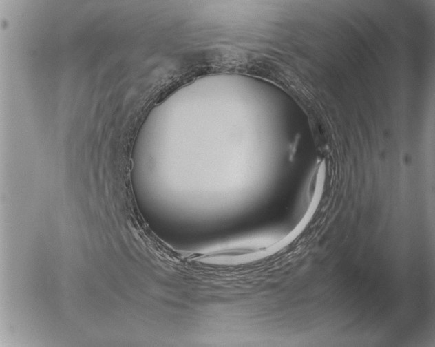 X0000053011153200507291700