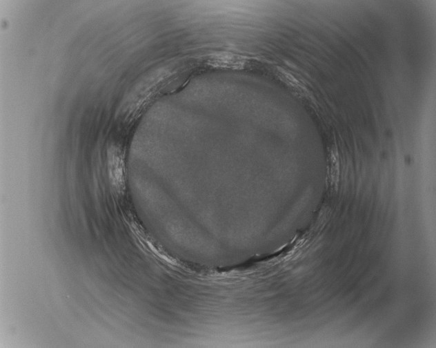 X0000053011154200507291700