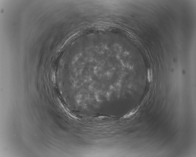 X0000053011155200507291700