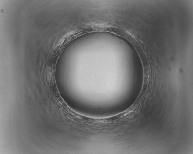 X0000053011157200507291700