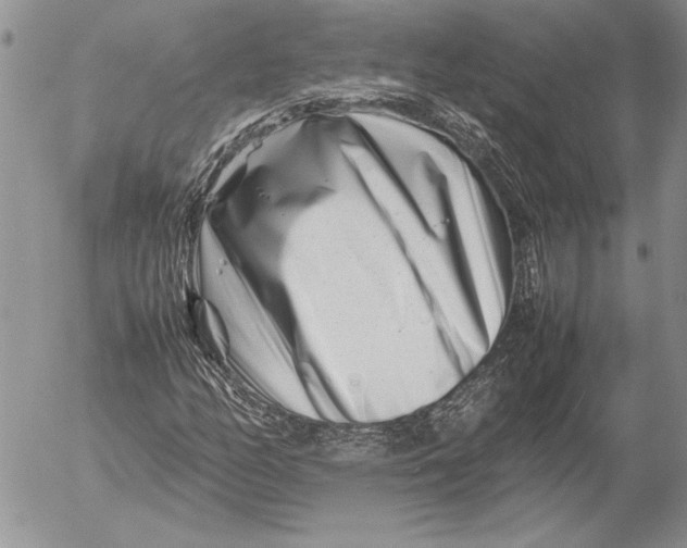 X0000053011158200507291700