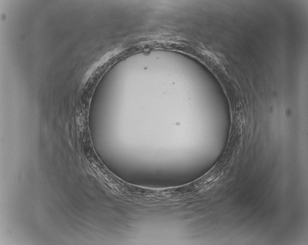 X0000053011159200507291700