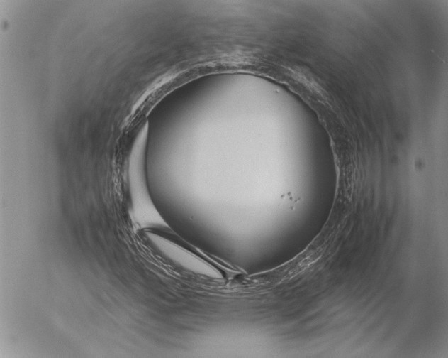 X0000053011160200507291700