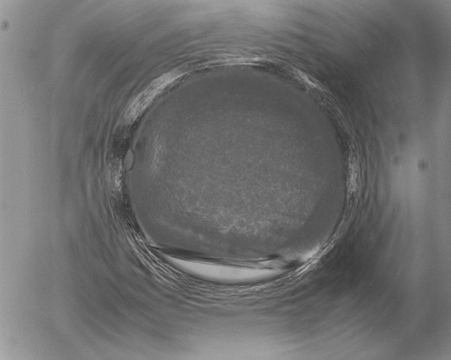 X0000053011161200507291700