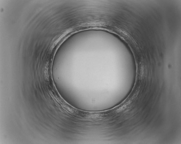 X0000053011162200507291700