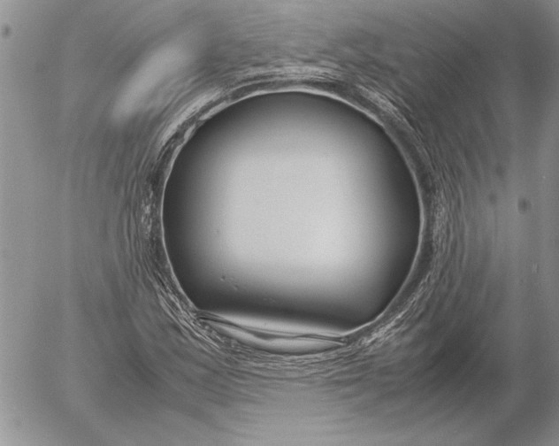 X0000053011163200507291700