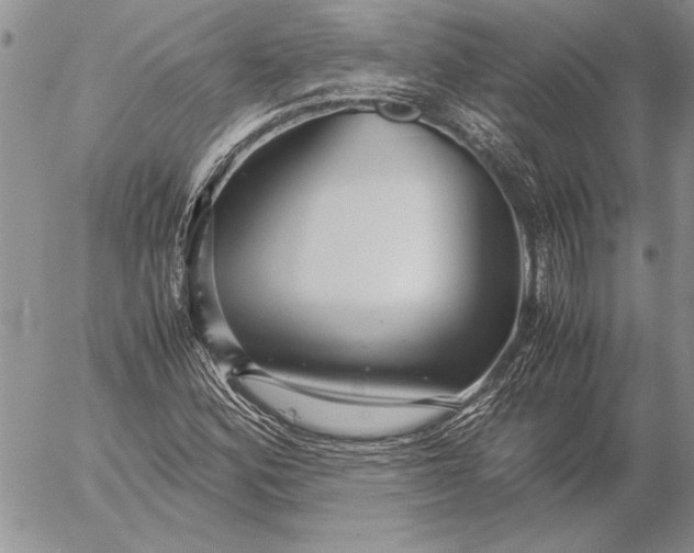 X0000053011164200507291700