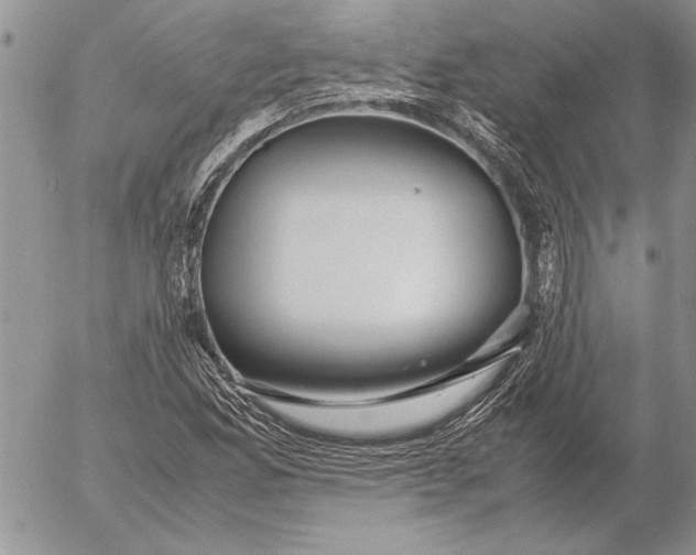 X0000053011165200507291700