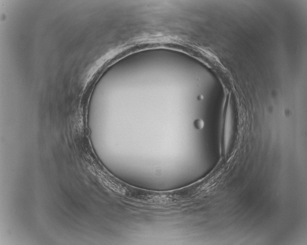 X0000053011167200507291700