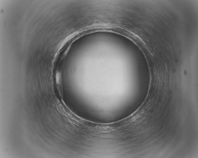 X0000053011168200507291700