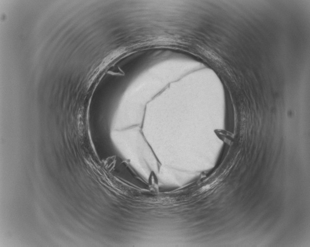 X0000053011170200507291700