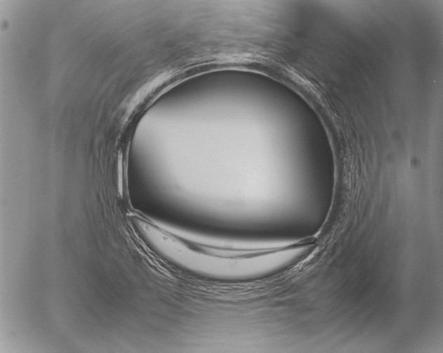 X0000053011171200507291700