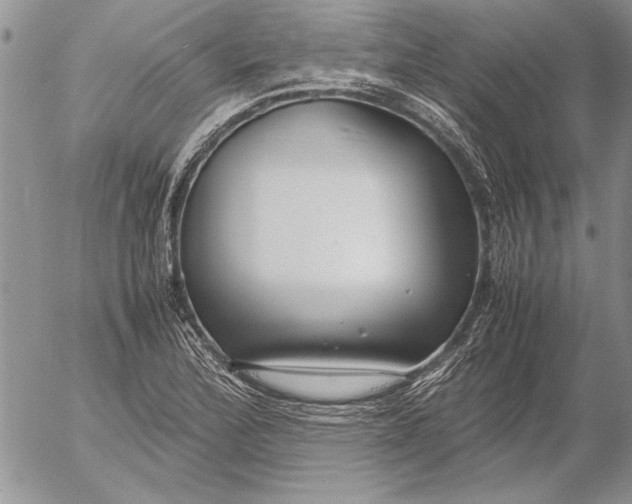 X0000053011172200507291700