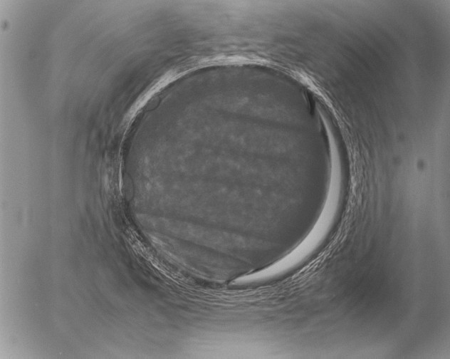 X0000053011173200507291700