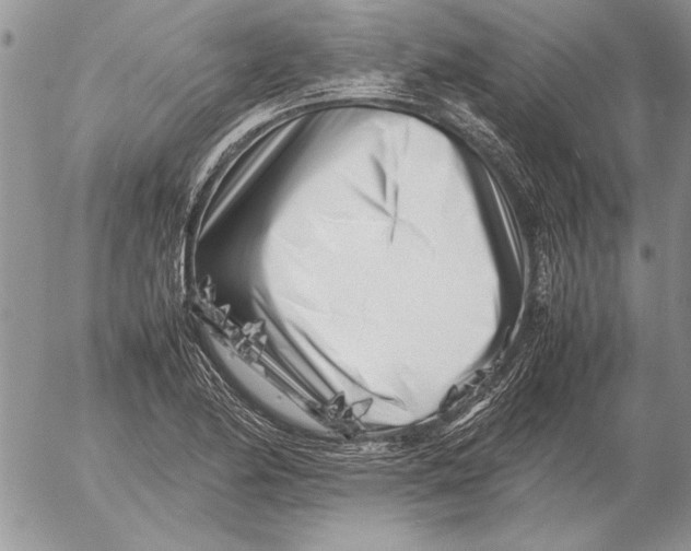 X0000053011174200507291700