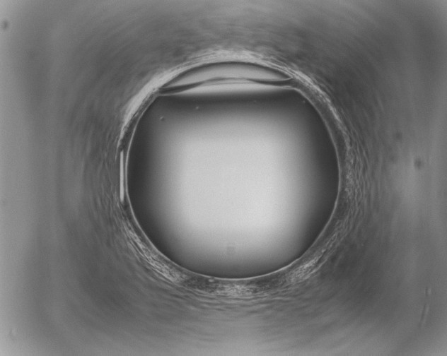 X0000053011175200507291700