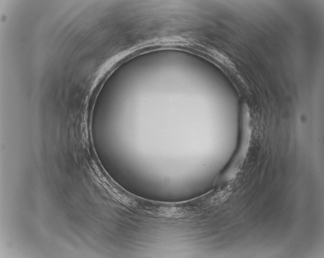 X0000053011176200507291700