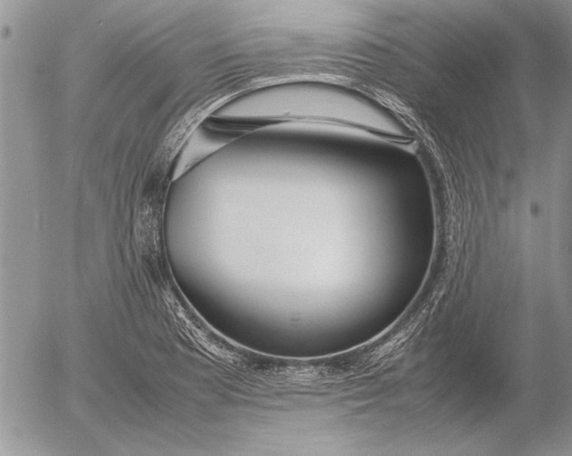 X0000053011177200507291700