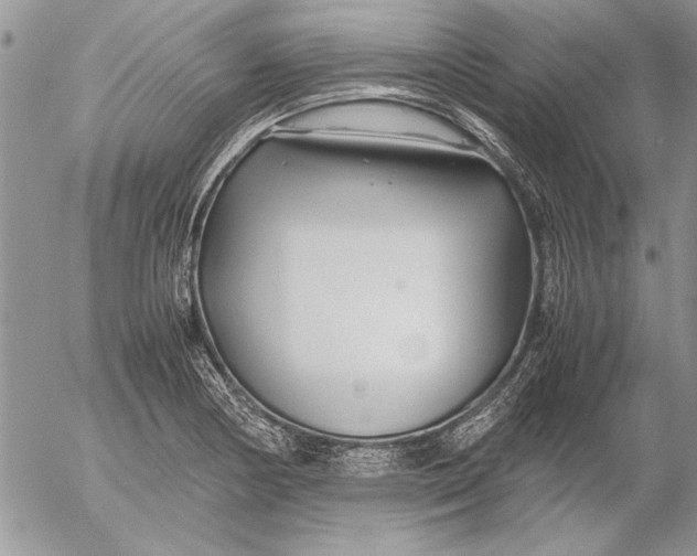 X0000053011178200507291700