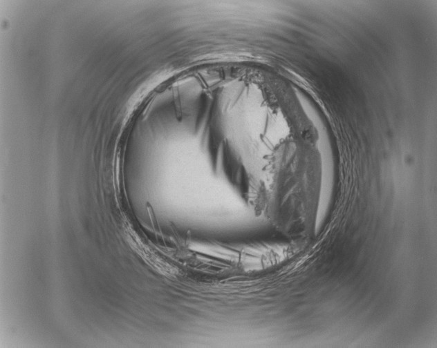 X0000053011179200507291700