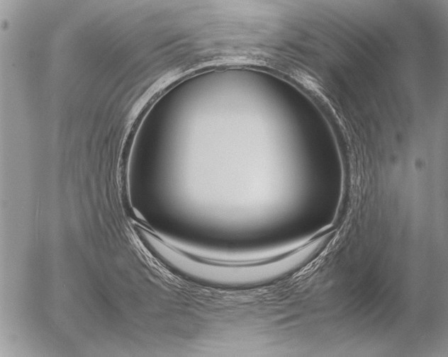 X0000053011181200507291700